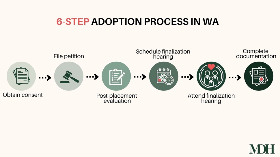 6-Step Adoption Process in WA