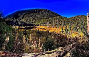 Kettle Falls