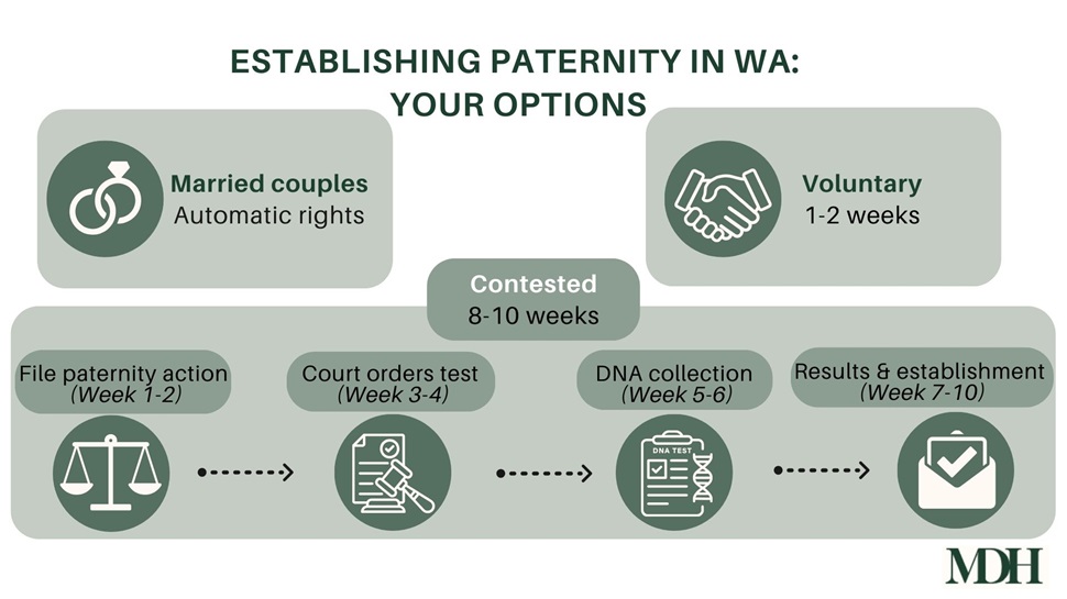 Establishing Paternity in WA: Your Options