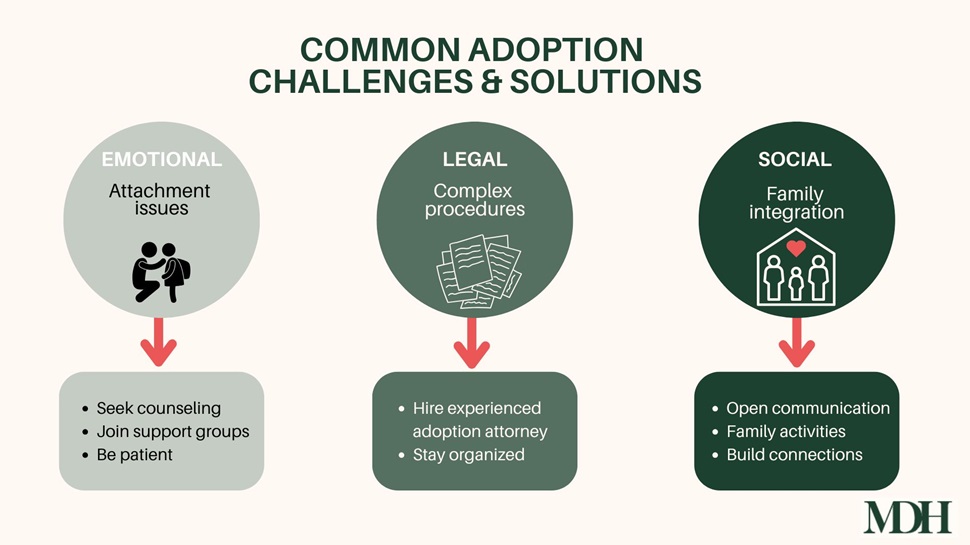 Common Adoption Challenges & Solutions