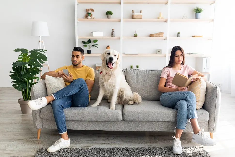Who Gets the Pets in a Divorce? Washington's Pet Custody Laws.