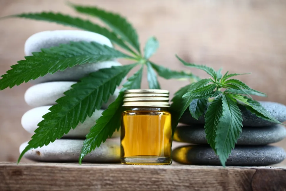 Recreational and Medical Legal Marijuana and Child Custody in Washington State
